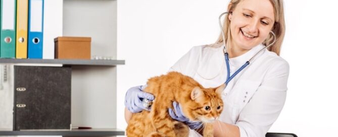 Keeping Your Pet Healthy and Happy